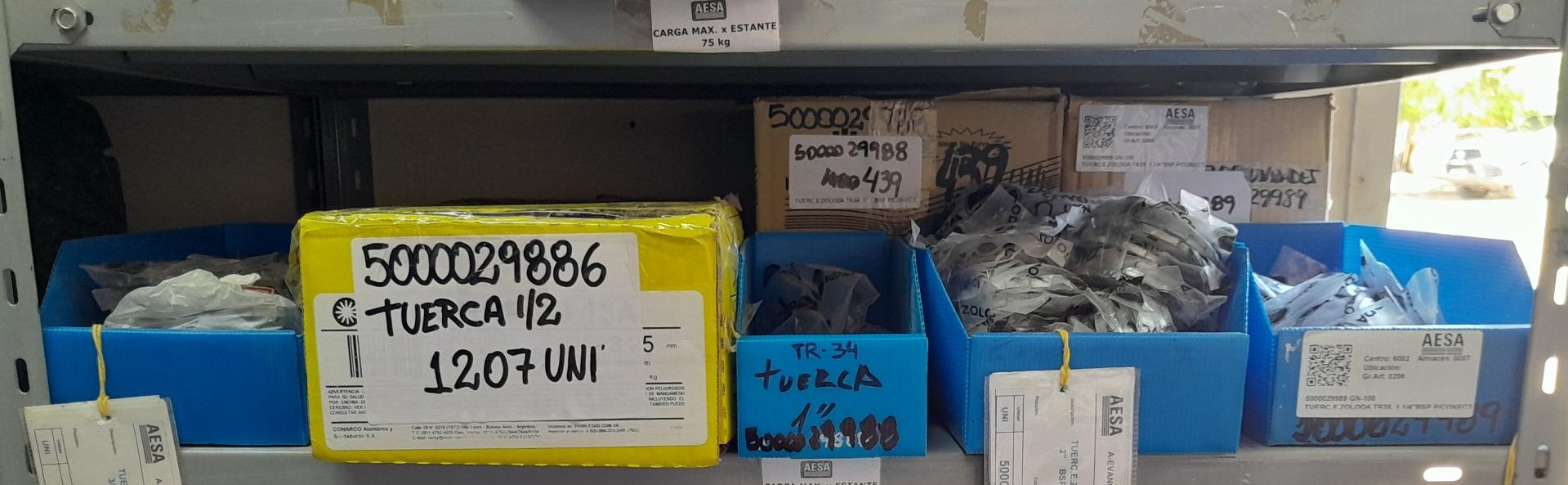 Agusti Subastas